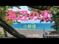 海辺の恋