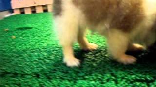 MOV00936.AVI