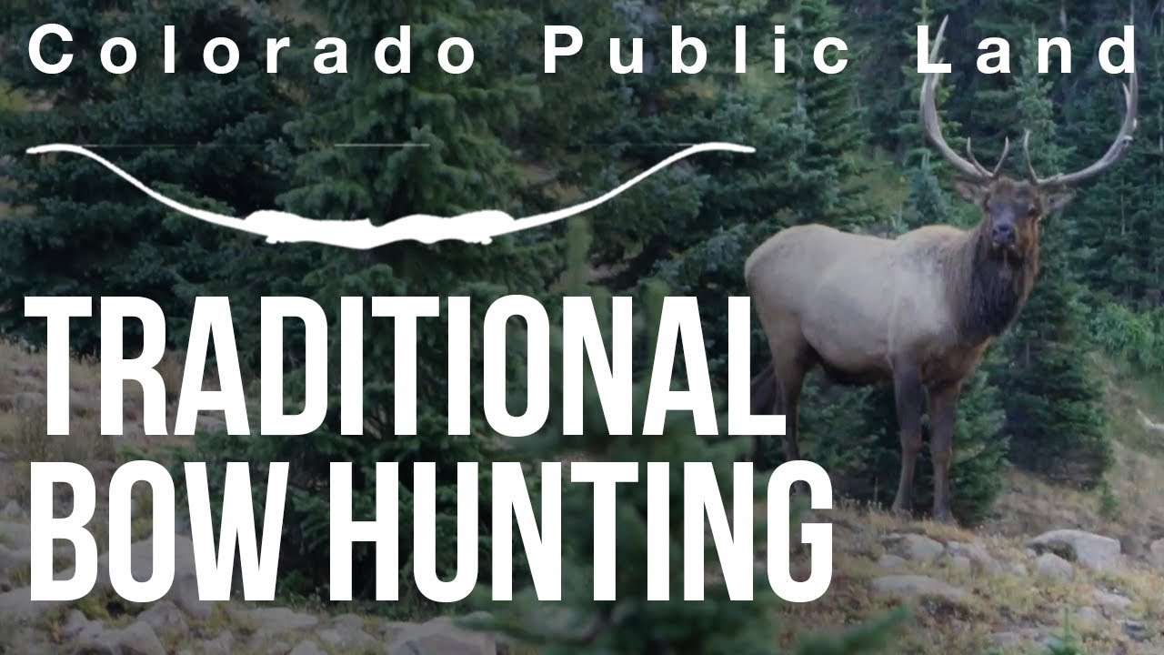 Traditional Bow hunting Elk Colorado Public Land YouTube