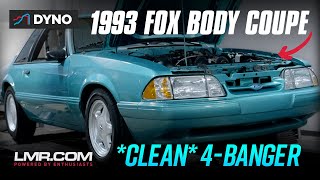 How Much Power Does A 2.3L 4-Cylinder Fox Body Mustang Make? 1993 Calypso Coupe Dyno