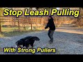 Stop Your Dog's Leash Pulling and Walk Beside You