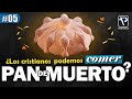 pregunta #5: 🤔¿Los cristianos podemos comer pan de muerto?