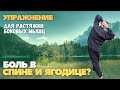 Боль в спине и ягодице?