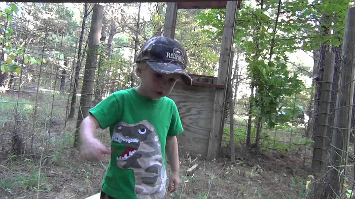 Hog Trap Door and Trigger Design with Andrew!