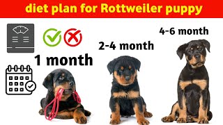 Diet plan of Rottweiler from 0 to 6 months : in Hindi : Rottweiler diet plan in hindi screenshot 3