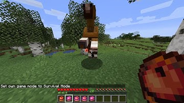 Seeker Compass Showcase