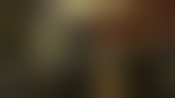 Fallout New Vegas Randomizer is a Nightmare