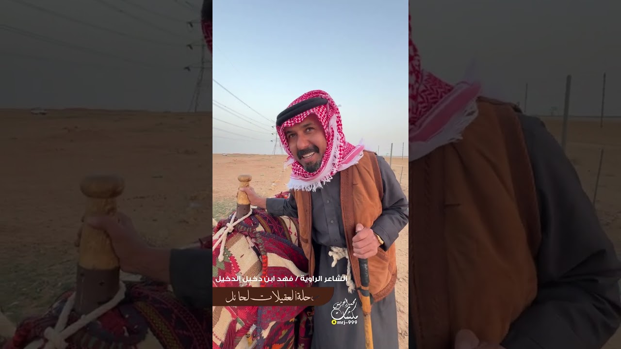 تغطيتي لرحلة :: العقيلات على ظهور الإبل من جردة بريدة الى حائل معلومات عن الأبل