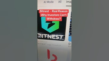 Bitnest Withdrawal Update December 20, 2025
