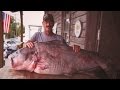 Missouri record fish stories  blue catfish