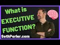 What is executive function in plain english a quick version