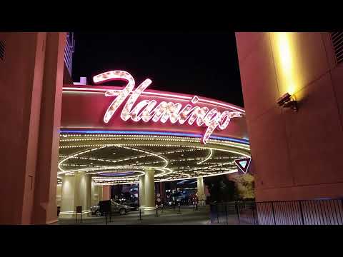 $1540 on the field, craps table for todays bet #casino #gamble #lasvegas #craps #roulette #blackjack
