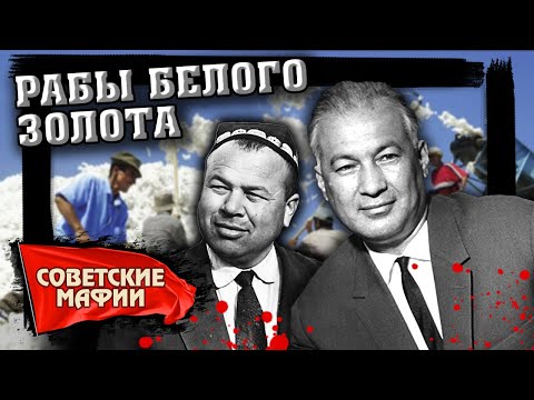 Рабы белого золота. Хлопковая мафия. Советские мафии