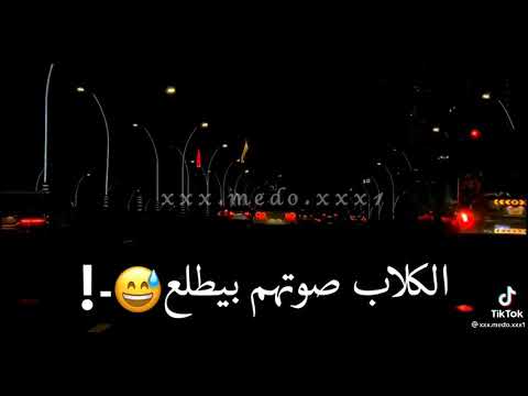 مهرجان الاسود لو ليله غابت الكلاب صوتهم بيطلع مسلم