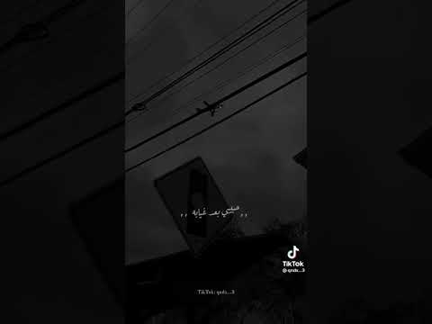 سفره الافراح طالت المشاوير