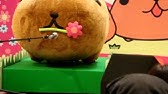 カピバラさんのうた Youtube カピバラさんのうた Youtube