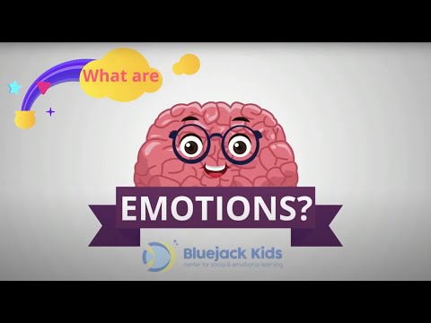 What are Emotions?