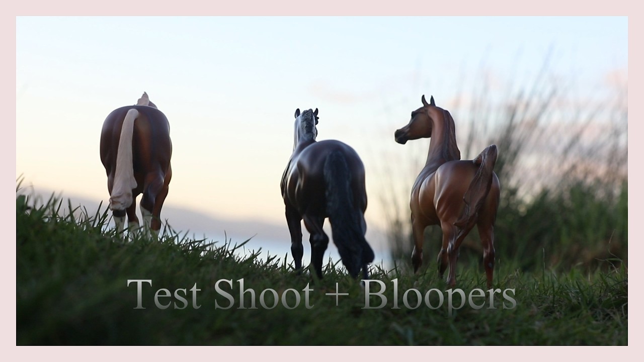 Model Horse Test Shoot