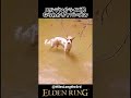 エルデの民ならヤバさが一瞬でわかる犬がこちらｗｗ #eldenring #エルデンリング #shorts