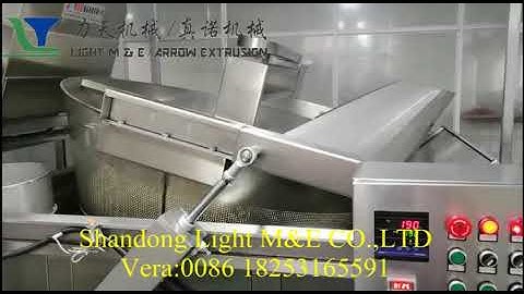 Batch frying machine process line