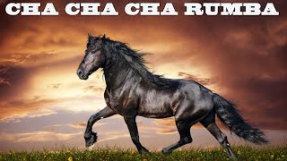 Relaxing Guitar Instrumental Music Cha Cha Cha  Rumba  Mambo  Beautiful Spanish Guitar