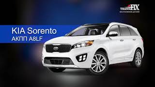 АКПП KIA Sorento. Почему автомобиль не едет