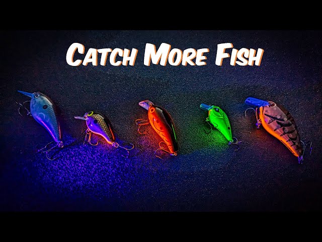 Unleash Your Fishing Potential: A Beginner's Guide to UV Lures