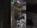 nice flick with smg 11 #mute