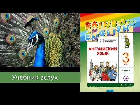 Rainbow English 3-1, Unit 1 Step 4, Английский язык 3 класс ч.1, Афанасьева, Михеева.