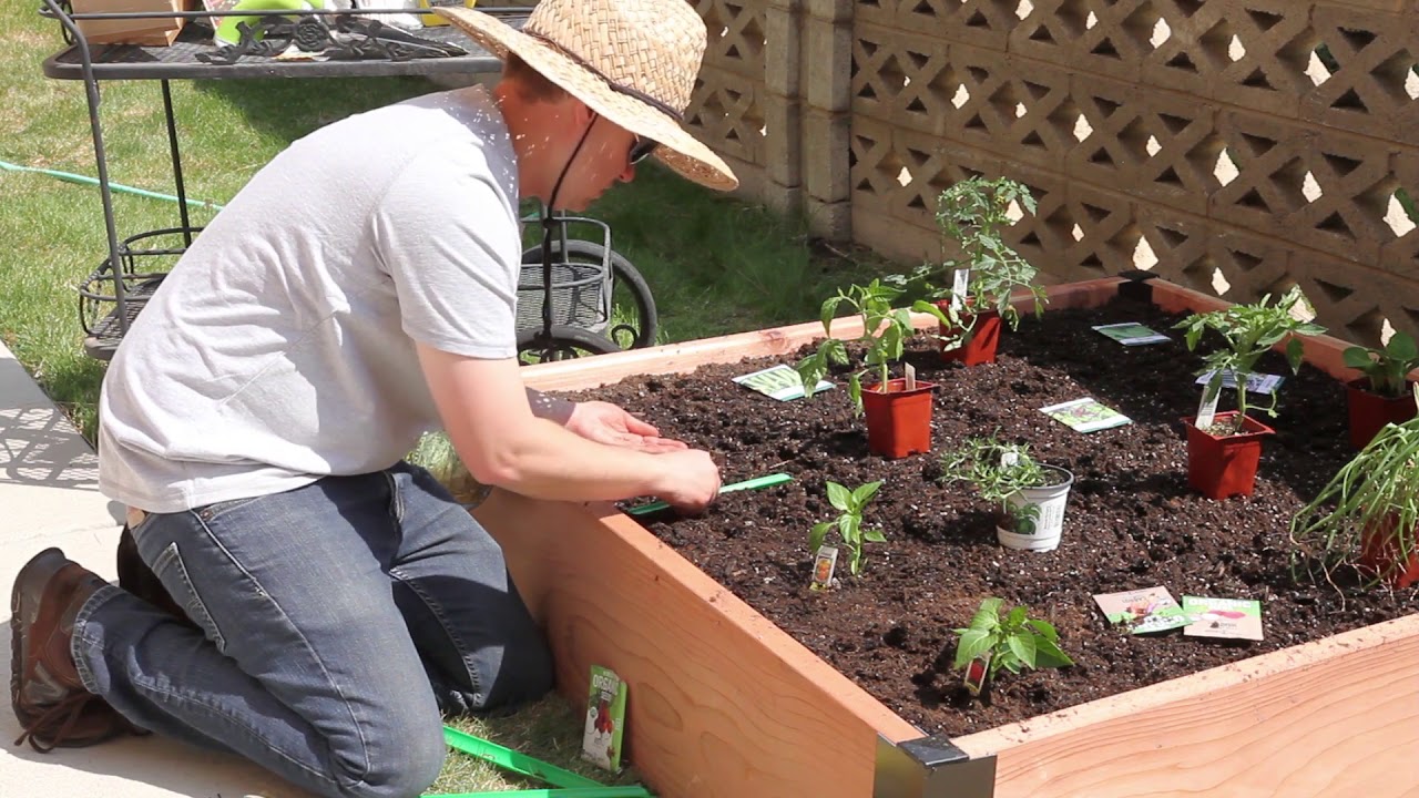 How to Start a Raised Bed Garden - YouTube