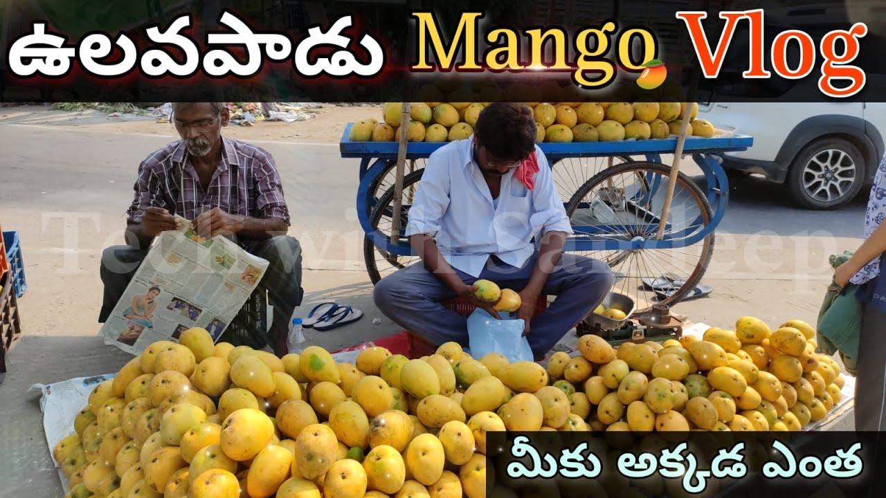 Ulavapadu Mango Vlog Ulavapadu Mango Stalls Ulavapadu Mangos