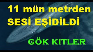 Dünyanin İn Uly Jandary. 11 Mün Metrden Sesi Eşidilyar