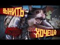 Вкратце про 41 build Project zomboid