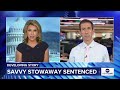 Stowaway on flight from New York to Paris sentenced to time served