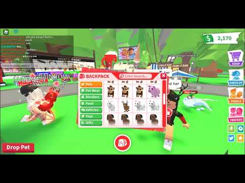 I found a scammer!! Giving away a king bee. - YouTube