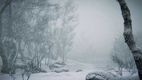 Winter Forest - HDRP Test