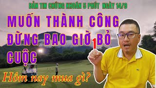 Bản tin chứng khoán 5 phút ngày 14/9: Muốn thành công đừng bao giờ bỏ cuộc I Mua NVL DIG I Dứa ITP