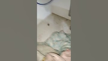 thông tắc ống thoát nước bồn rửa chén bát