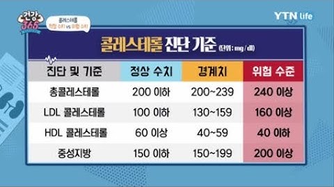 콜레스테롤 적정 수치 vs 위험 수치 / YTN 라이프