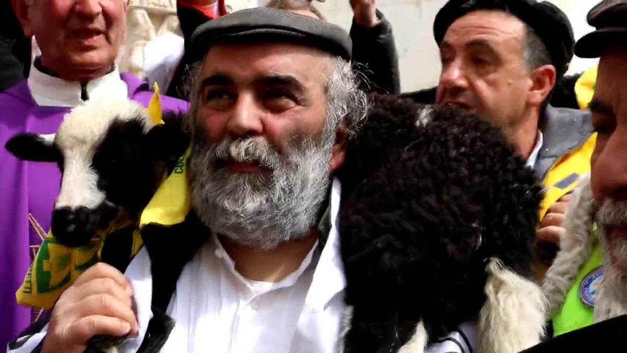 Sa Paradura 1000 pecore per Cascia