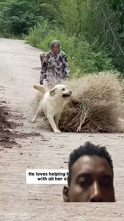 The Moment Humanity Almost Ended