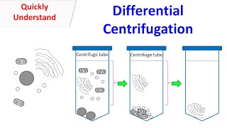 differential centrifuge screenshot 4