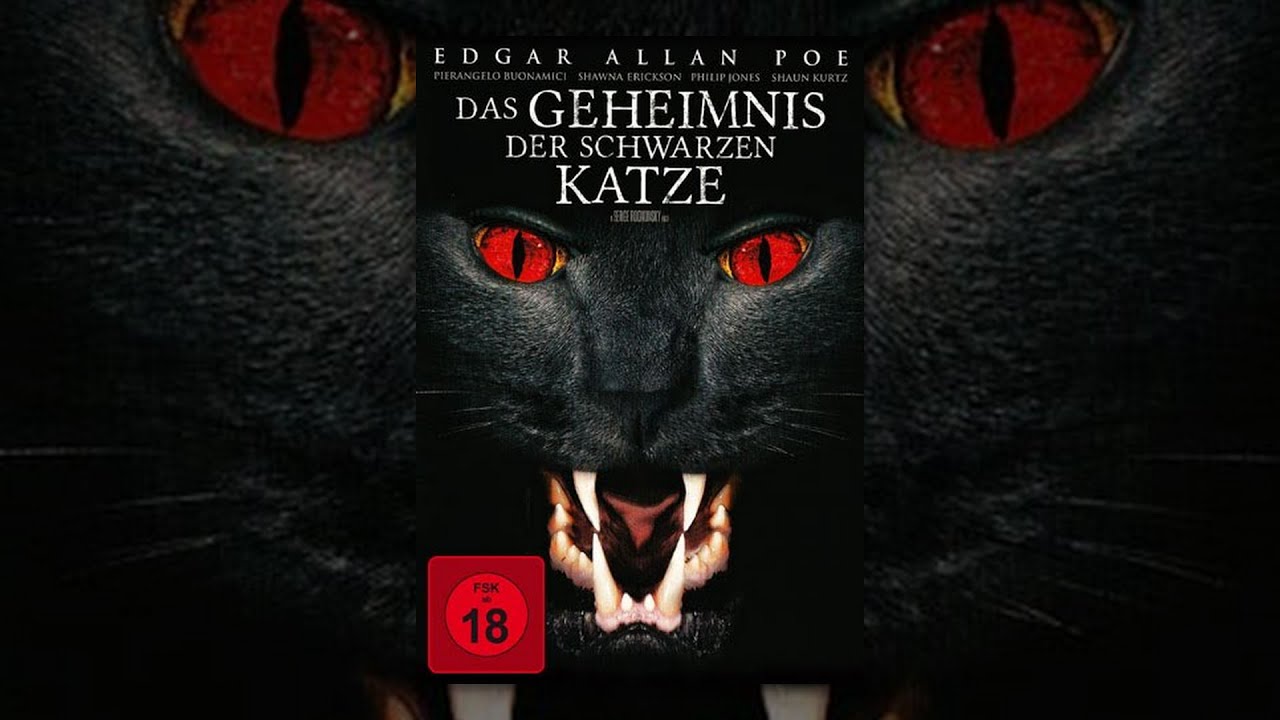 Das Geheimnis der schwarzen Katze