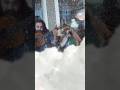 کمکم کن گوگوش اجرا تاج نیلوفر