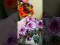 arranging daisies #shorts #feed