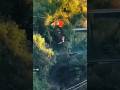 OMG! Six-year-old boy falls 40 feet from Zip Line, video goes viral
