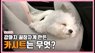 강아지용품 리뷰 🐶강아지카시트 추천/쇼핑하울