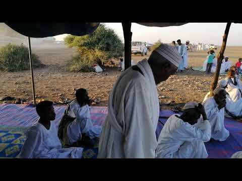 الشيخ الشفيع الشيخ الباقر الصادقاب المندره 2020 اولاد ودالعجيل 1