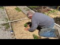 Harvesting rooted cuttings from the propagation bed.