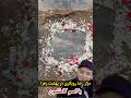 مزار رضا رویگری در بهشت زهرا با نام کامل ایشون محمدزضا رویگری روحش شاد